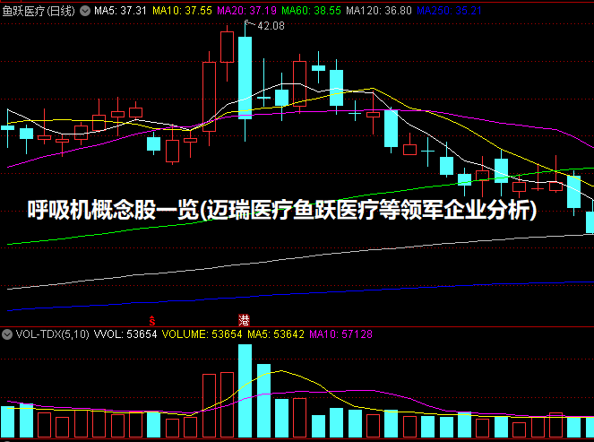 呼吸机概念股一览(迈瑞医疗/鱼跃医疗等领军企业分析)