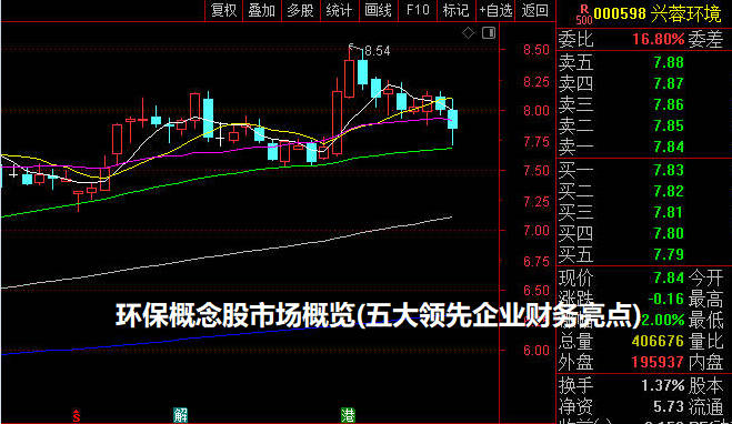 环保概念股市场概览(五大领先企业财务亮点)