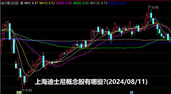 上海迪士尼概念股有哪些?(2024/08/11)