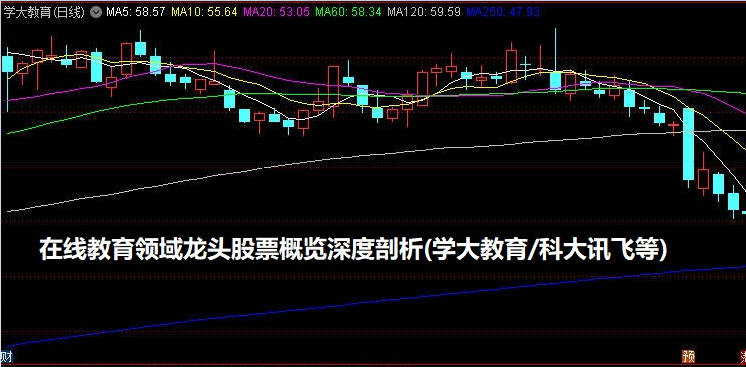 在线教育领域龙头股票概览深度剖析(学大教育/科大讯飞等)