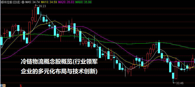 冷链物流概念股概览(行业领军企业的多元化布局与技术创新)