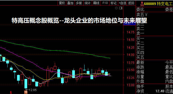 特高压概念股概览--龙头企业的市场地位与未来展望