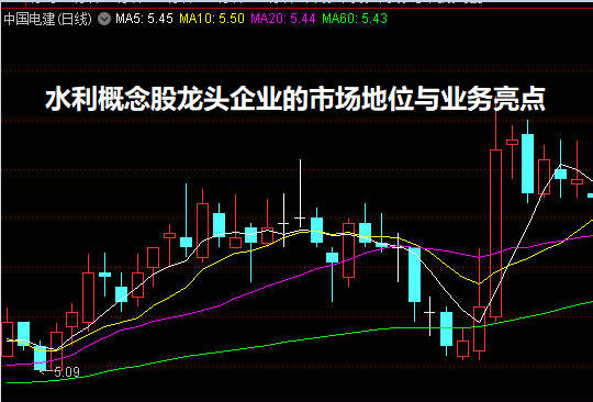 水利概念股龙头企业的市场地位与业务亮点