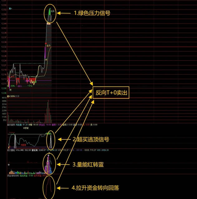 精选〖四指标共振T+0〗主图/副图/分时指标，包含指标说明/操作方法/实盘贴图 胜率极高！