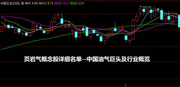 页岩气概念股详细名单--中国油气巨头及行业概览