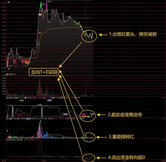 精选〖四指标共振T+0〗主图/副图/分时指标，包含指标说明/操作方法/实盘贴图 胜率极高！