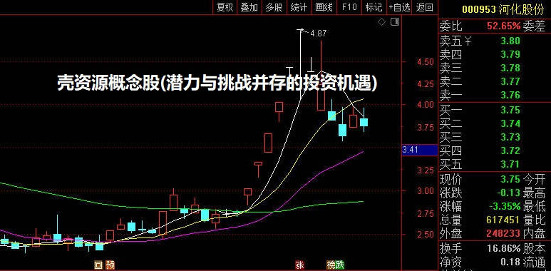 壳资源概念股(潜力与挑战并存的投资机遇)