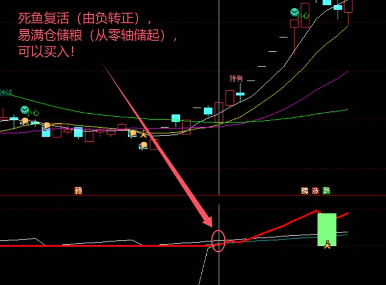 2024易满仓之〖死鱼消失易满仓〗副图指标，告别熊市思维，易满仓副图三套买入与卖出信号，专捉妖股！