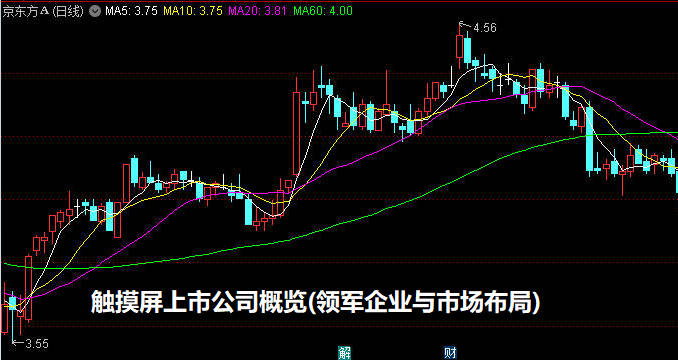 触摸屏上市公司概览(领军企业与市场布局)