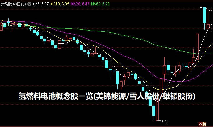氢燃料电池概念股一览(美锦能源/雪人股份/雄韬股份)