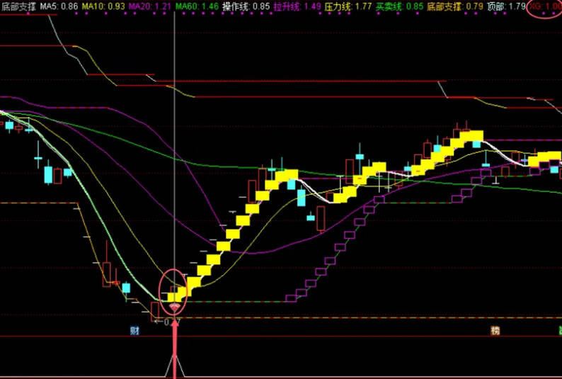 精选【底部支撑】主图/副图/选股指标，五日MA拐头向上时买入，支撑线上找买点，压力线下找卖点！