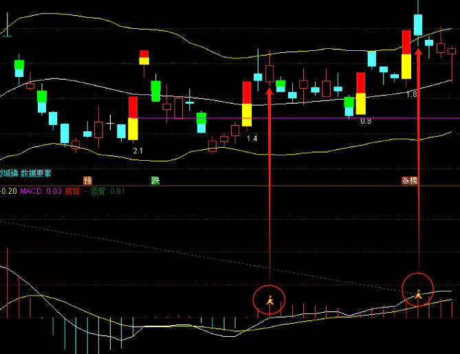 应友友要求做个与众不同真正的【MACD真正背离】副图指标，MACD量柱为核心，价值无法估量！