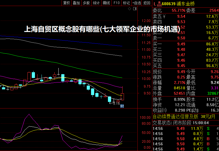 上海自贸区概念股有哪些(七大领军企业的市场机遇)