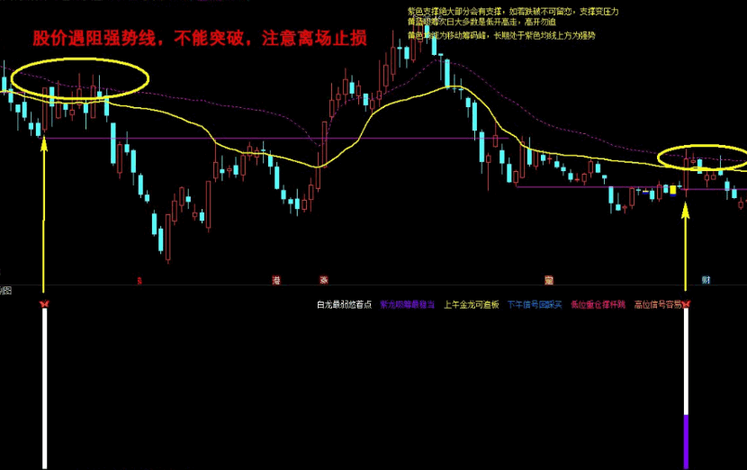 沂蒙路《鱼跃龙门》捉妖王首选 吸筹出货一目了然 捉妖必备 主副选股套装！