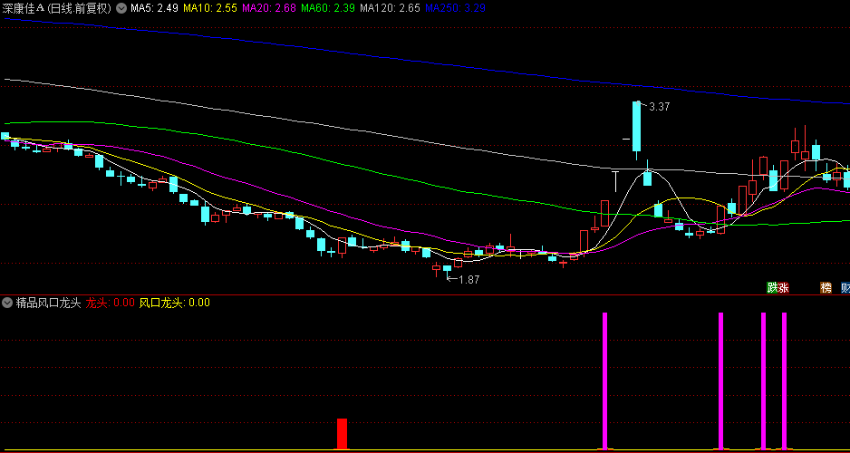 【精品风口龙头】副图/选股指标，洞悉热点潮流脉搏，散户捕获龙头股的制胜法宝