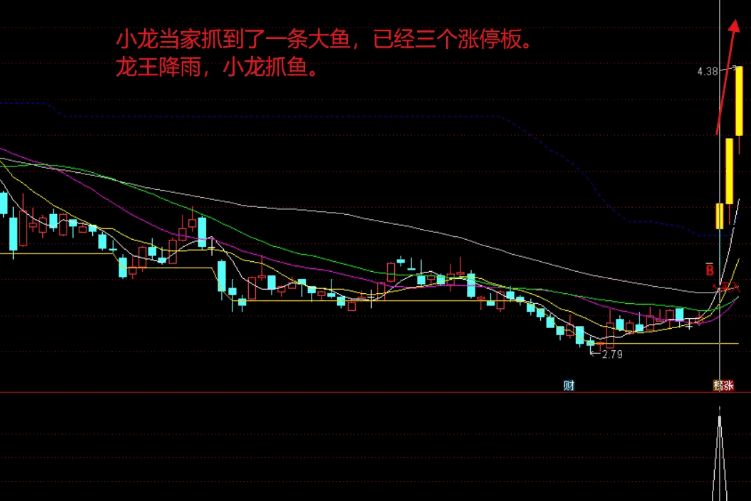 【小龙当家】副图/选股指标，可以竞价排序，飞龙竞价的优化升级版！