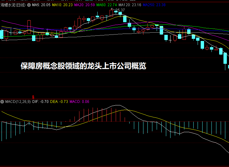 保障房概念股领域的龙头上市公司概览