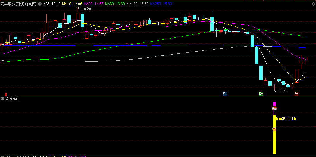 通达信精品【鱼跃龙门】副图+选股指标，阴线大幅下跌，捕获一波拉升行情！