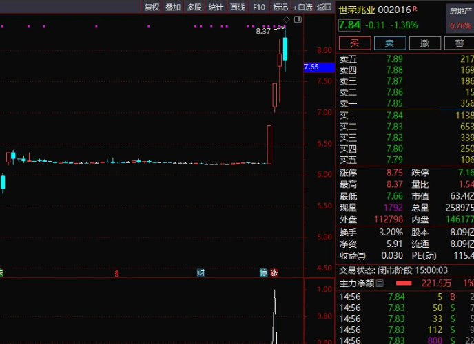 自认成功率极高的【带头大哥一进二】副图/选股指标，专注一进二策略，当日成功率可超85%！