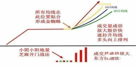 【新版金蜘蛛】主图/副图/选股指标，精准布局启涨前夕，成就主升浪赢家！