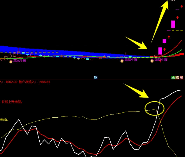 国庆献礼之三【今日资金博弈】副图指标，洞悉今日资金流向，引领牛股操作，资金脉络尽在掌握！