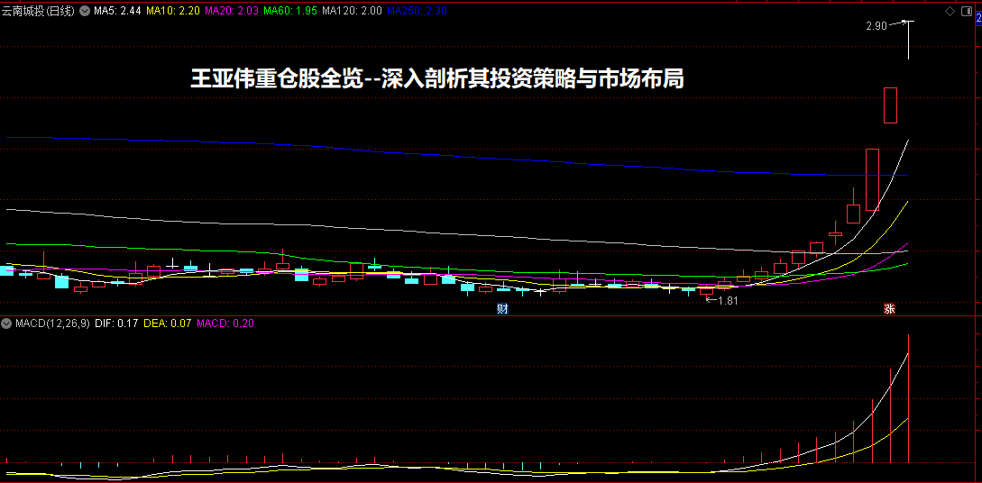 王亚伟重仓股全览--深入剖析其投资策略与市场布局