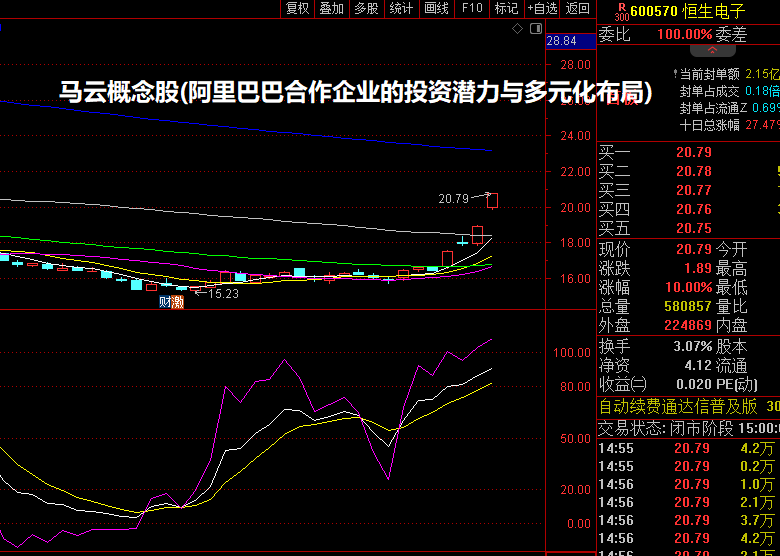 马云概念股(阿里巴巴合作企业的投资潜力与多元化布局)