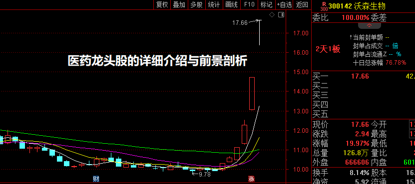 医药龙头股的详细介绍与前景剖析