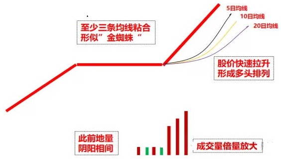 【金蜘蛛形态战法】主图/副图/选股指标，底部反转+中期上涨起点，近期捕捉华映科技、法本信息、天茂集团等牛股！