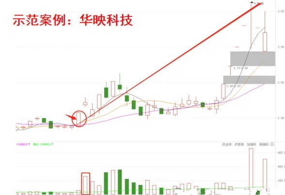 【金蜘蛛形态战法】主图/副图/选股指标，底部反转+中期上涨起点，近期捕捉华映科技、法本信息、天茂集团等牛股！