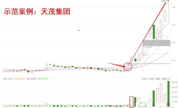 【金蜘蛛形态战法】主图/副图/选股指标，底部反转+中期上涨起点，近期捕捉华映科技、法本信息、天茂集团等牛股！