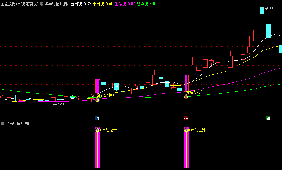 【黑马行情开启】主图/副图/选股指标，捕捉中期黑马信号，抓住大多数拉升点