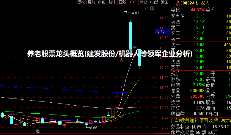 养老股票龙头概览(建发股份/机器人等领军企业分析)