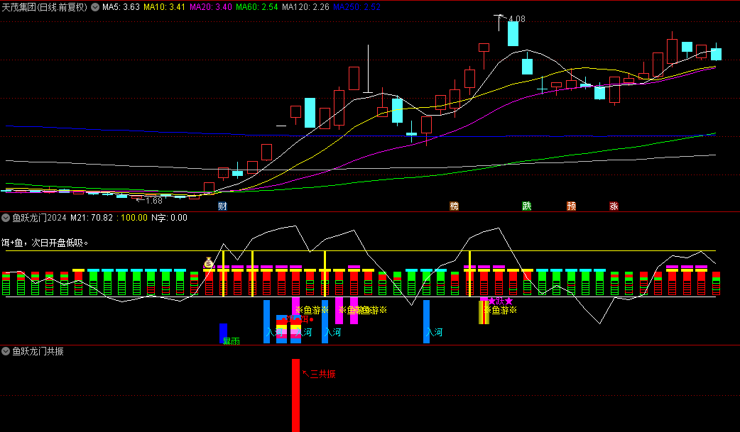 通达信【鱼跃龙门2024】套装指标，多信号共振，厘定一波强势的主升浪行情！