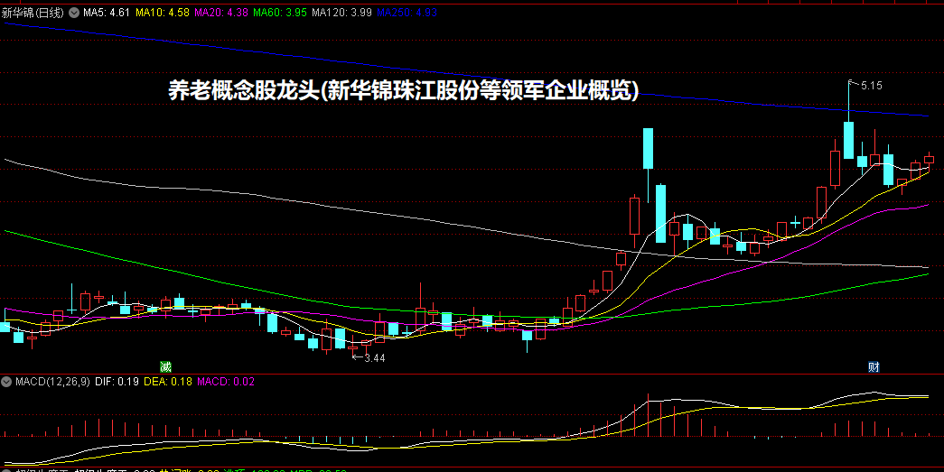 养老概念股龙头(新华锦/珠江股份等领军企业概览)