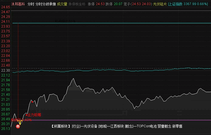 【分时分歧承接】分时主图指标/做T神器/日内低点买点参考/下跌企稳+分歧转一致！