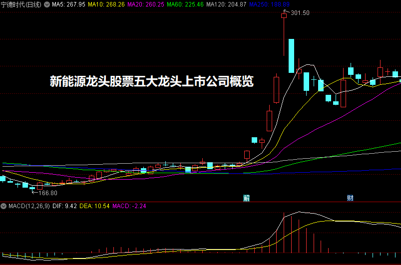 新能源龙头股票五大龙头上市公司概览