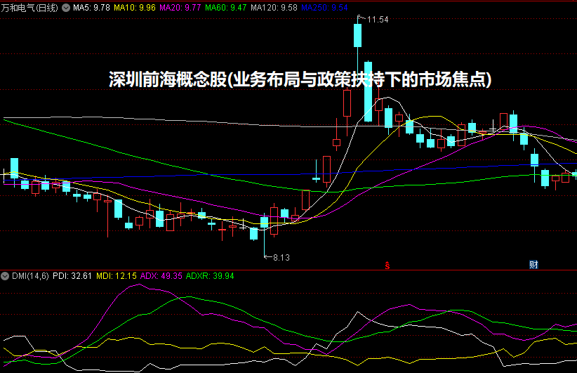 深圳前海概念股(业务布局与政策扶持下的市场焦点)