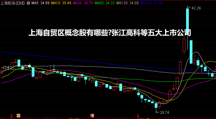 上海自贸区概念股有哪些?张江高科等五大上市公司