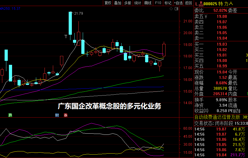 广东国企改革概念股的多元化业务