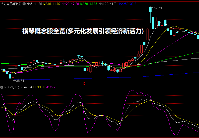 横琴概念股全览(多元化发展引领经济新活力)