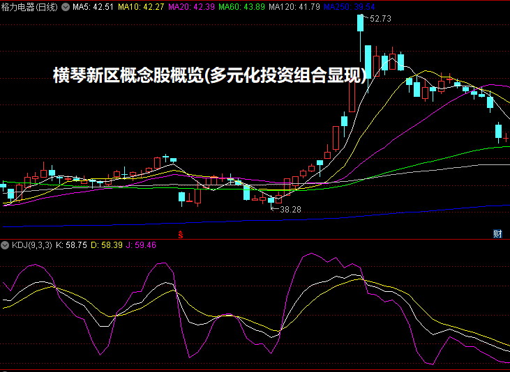 横琴新区概念股概览(多元化投资组合显现)