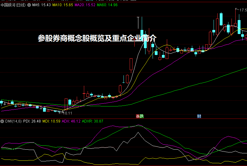 参股券商概念股概览及重点企业简介