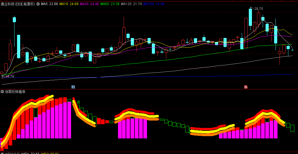 【徐哥反转看涨】副图指标，从此杜绝一卖就涨，一买就跌的尴尬境地