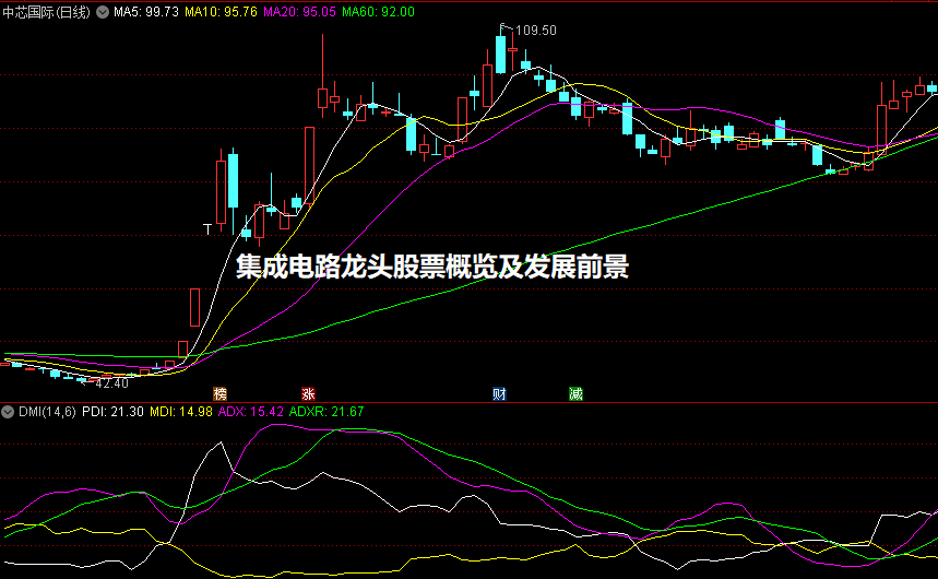 集成电路龙头股票概览及发展前景