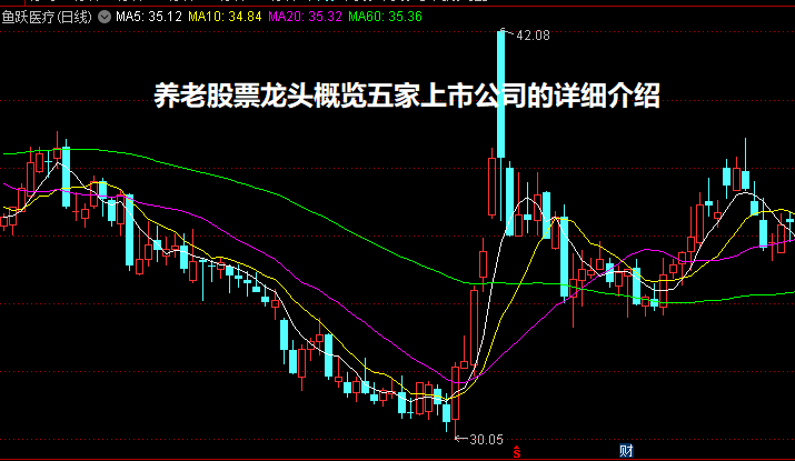 养老股票龙头概览五家上市公司的详细介绍