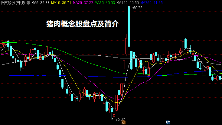 猪肉概念股盘点及简介