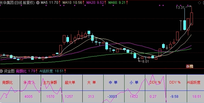 集多项当日实操资金一目了然的【资金图】副图指标，判断主力资金的意图，源码首次公开！