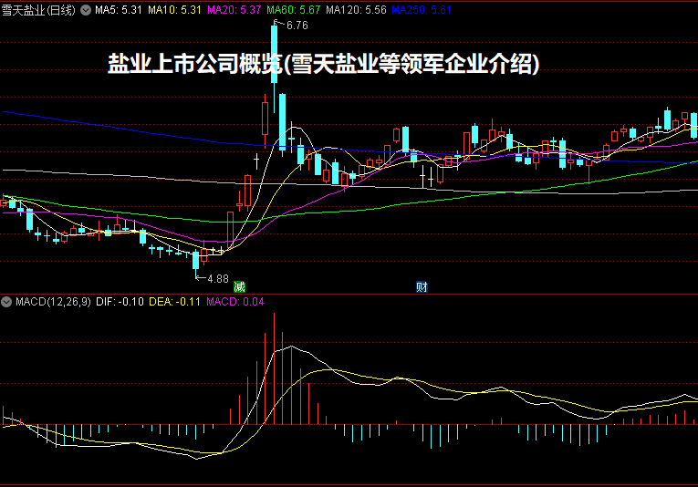 盐业上市公司概览(雪天盐业等领军企业介绍)