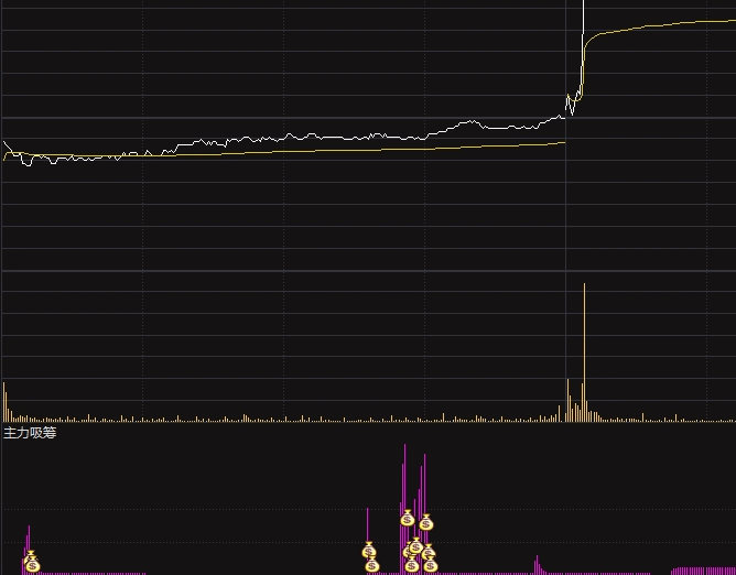 【最近很火的指标】通达信【主力吸筹】分时副图指标，出钱袋子顶个筹码，就是建仓信号！